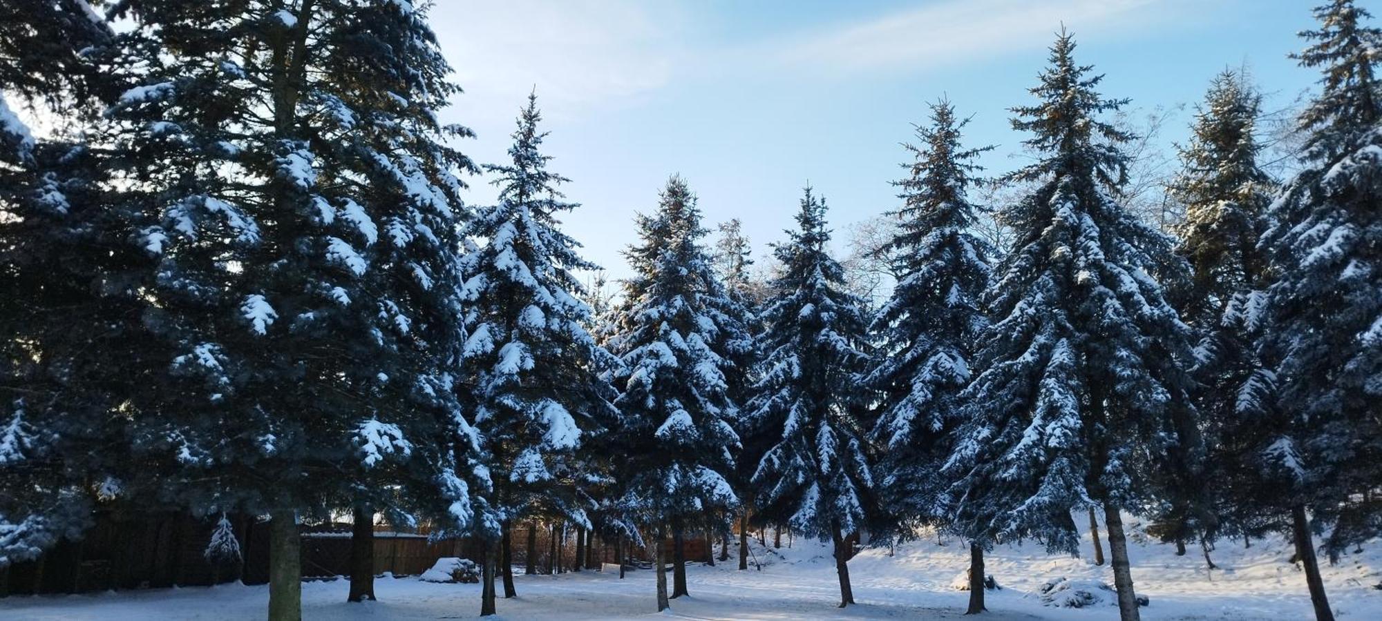 Pokoje Goscinne Impresja Kadzidlo Bagian luar foto